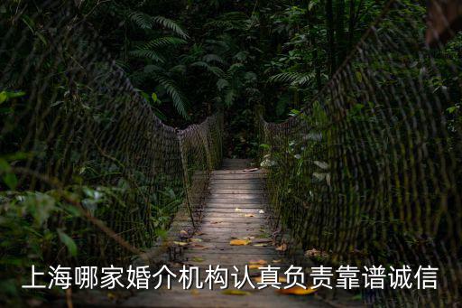 上海婚介所，上海哪家婚介所比較專業(yè)