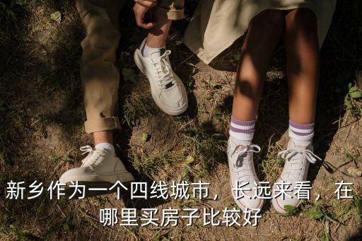 新鄉作為一個四線城市，長遠來看，在哪里買房子比較好