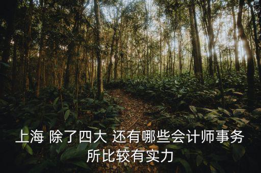 上海 除了四大 還有哪些會計師事務所比較有實力