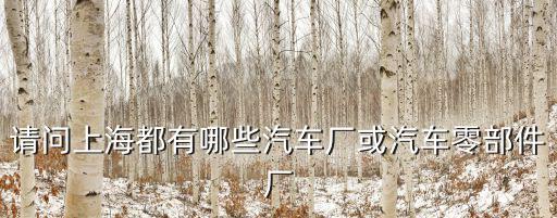 請問上海都有哪些汽車廠或汽車零部件廠