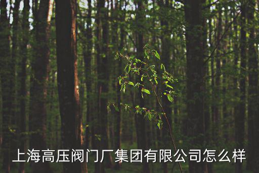 上海高壓閥門廠集團有限公司怎么樣