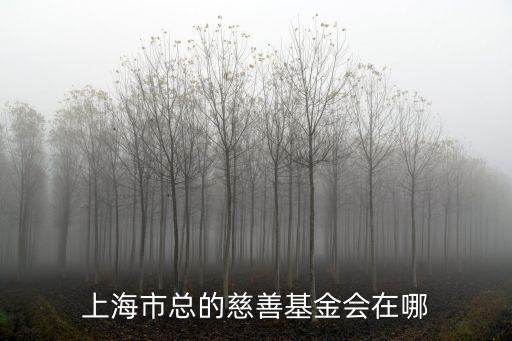 上海市總的慈善基金會在哪