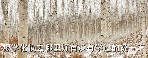 想學化妝去哪里好有沒有學過的說一下