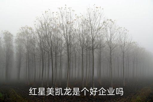 紅星美凱龍是個好企業嗎