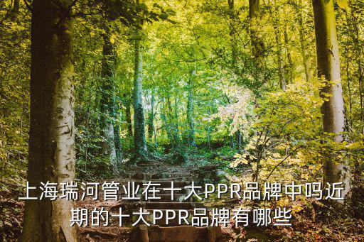 上海瑞河管業(yè)在十大PPR品牌中嗎近期的十大PPR品牌有哪些