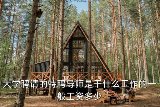 大學聘請的特聘導師是干什么工作的一般工資多少