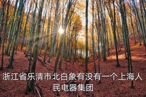 浙江省樂清市北白象有沒有一個上海人民電器集團