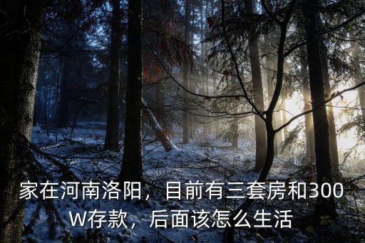 家在河南洛陽，目前有三套房和300W存款，后面該怎么生活