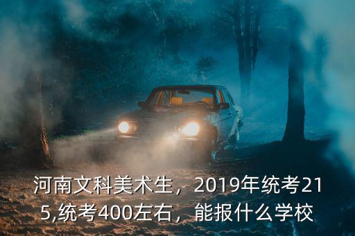 河南文科美術生，2019年統考215,統考400左右，能報什么學校