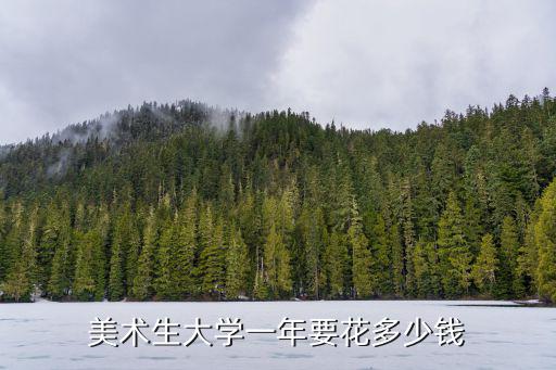 美術(shù)生大學(xué)一年要花多少錢