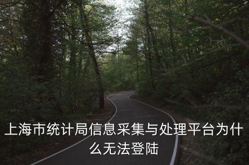 上海市統計局信息采集與處理平臺為什么無法登陸