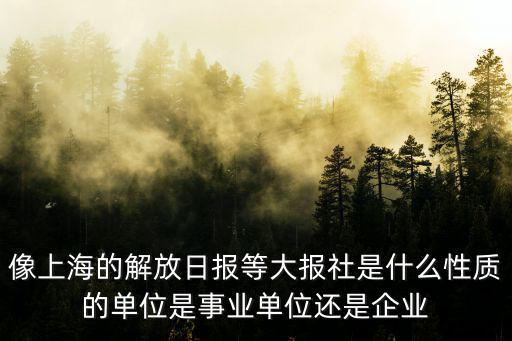 像上海的解放日報等大報社是什么性質的單位是事業單位還是企業