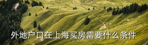 外地戶口在上海買房需要什么條件