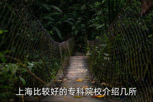 上海比較好的專(zhuān)科院校介紹幾所