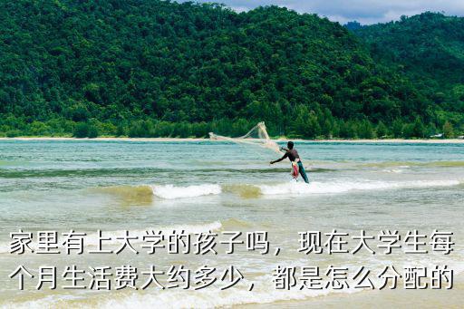 家里有上大學的孩子嗎，現在大學生每個月生活費大約多少，都是怎么分配的