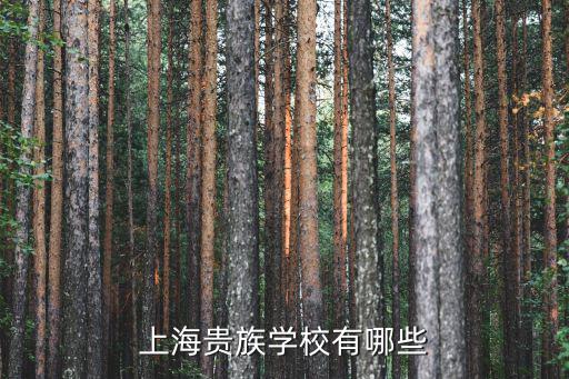 上海貴族學校有哪些