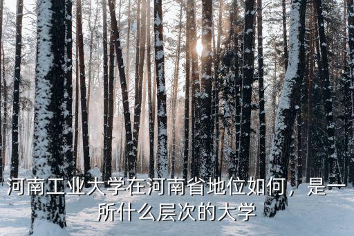 河南工業(yè)大學(xué)本省一批多少分,河南工業(yè)大學(xué)怎么樣