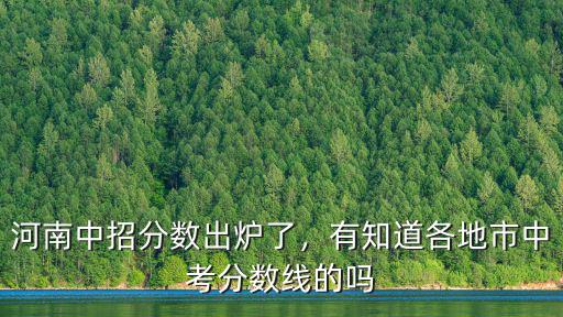 河南中招分數出爐了，有知道各地市中考分數線的嗎