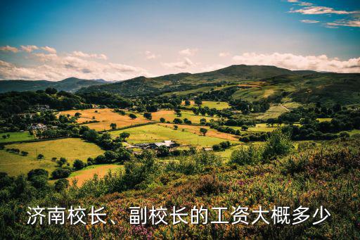 洛陽副校長每月多少工資,副校長的工資大概多少