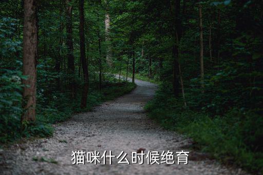 貓咪什么時候絕育