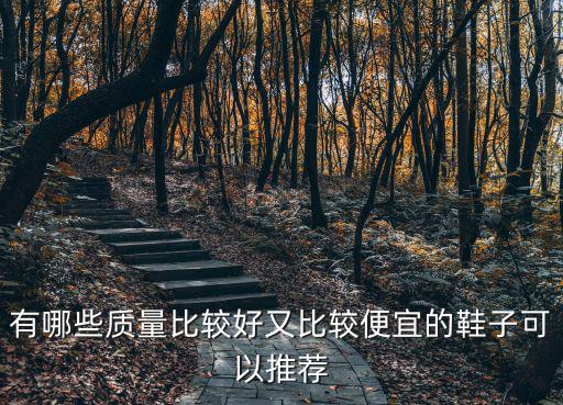 有哪些質量比較好又比較便宜的鞋子可以推薦