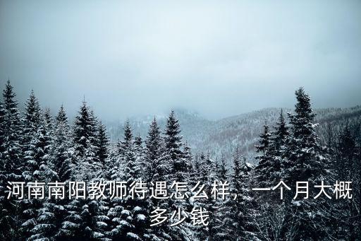 河南南陽教師待遇怎么樣，一個月大概多少錢