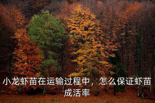 小龍蝦苗在運輸過程中，怎么保證蝦苗成活率