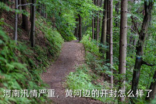 河南汛情嚴重，黃河邊的開封怎么樣了