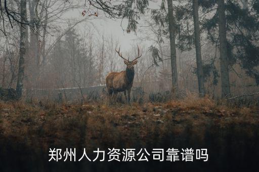 河南博爾捷人力資源公司怎么樣,河南人力資源公司靠譜嗎