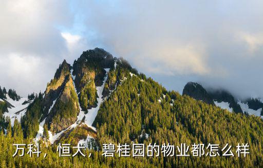 萬(wàn)科，恒大，碧桂園的物業(yè)都怎么樣