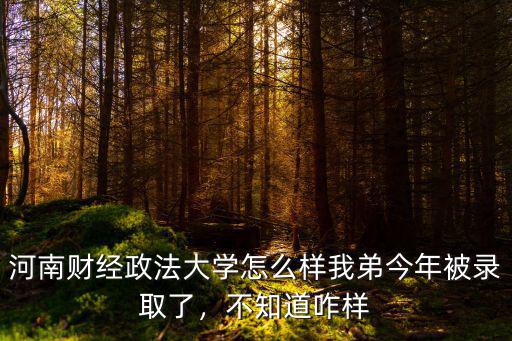 河南財經政法大學怎么樣我弟今年被錄取了，不知道咋樣