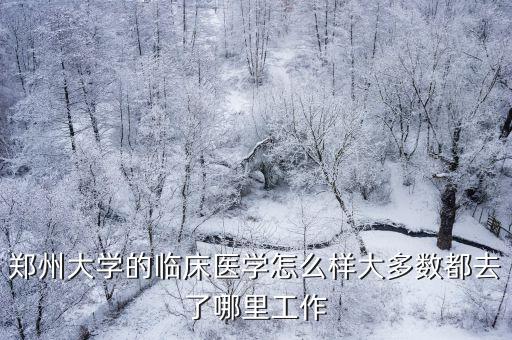 鄭州大學醫學院校在哪里,大多數都去了哪里工作