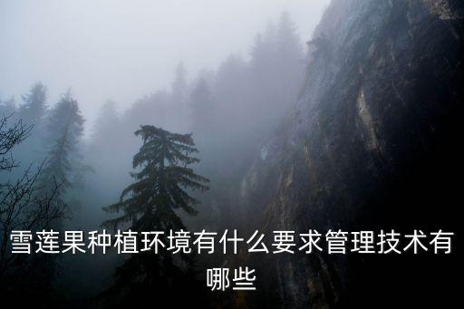 雪蓮果種植環(huán)境有什么要求管理技術(shù)有哪些