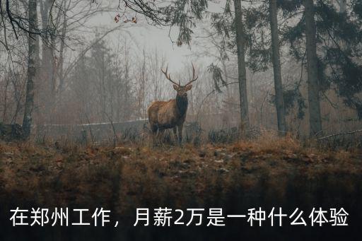 在鄭州工作，月薪2萬是一種什么體驗