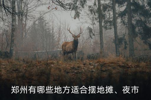 鄭州有哪些地方適合擺地?cái)偂⒁故? class=