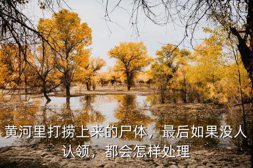 河南黃河沒守住會怎么樣,河南汛情嚴重