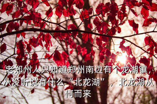 老鄭州人只知道鄭州南邊有個龍湖鎮，從沒聽說有什么“北龍湖”，北龍湖從何而來