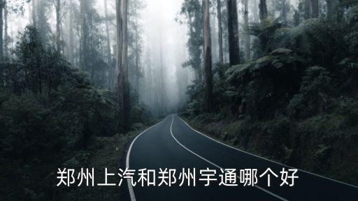 鄭州上汽和鄭州宇通哪個好