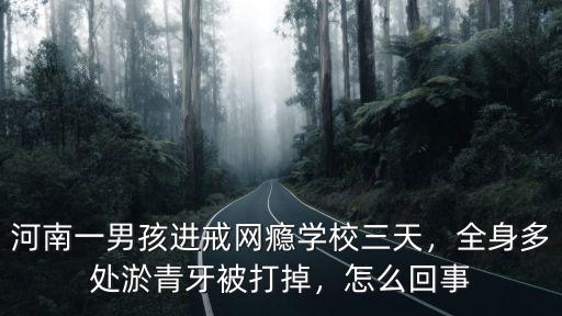 河南一男孩進戒網癮學校三天，全身多處淤青牙被打掉，怎么回事