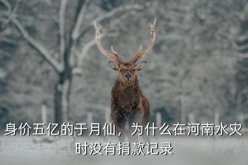 身價五億的于月仙，為什么在河南水災時沒有捐款記錄