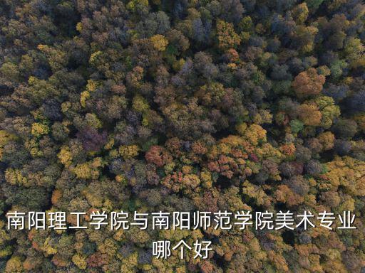 南陽理工學(xué)院與南陽師范學(xué)院美術(shù)專業(yè)哪個(gè)好