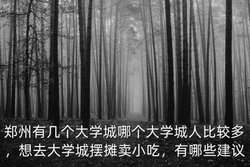 鄭州有幾個大學城哪個大學城人比較多，想去大學城擺攤賣小吃，有哪些建議