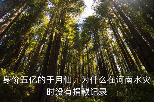 趙薇在河南捐款多少,誰在馳援河南