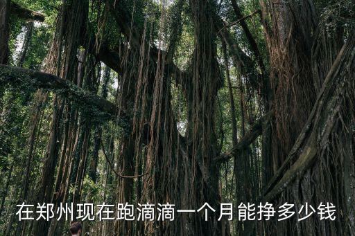 在鄭州現在跑滴滴一個月能掙多少錢