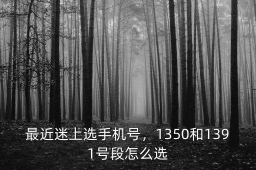 最近迷上選手機號，1350和1391號段怎么選