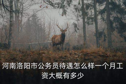 河南洛陽市公務(wù)員待遇怎么樣一個(gè)月工資大概有多少