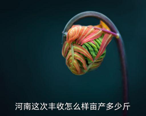 河南這次豐收怎么樣畝產多少斤