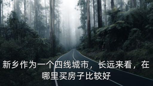 新鄉(xiāng)作為一個四線城市，長遠來看，在哪里買房子比較好