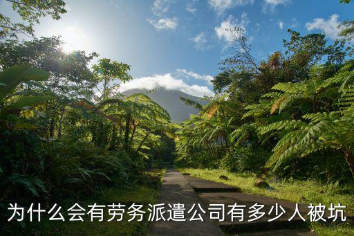為什么會有勞務派遣公司有多少人被坑