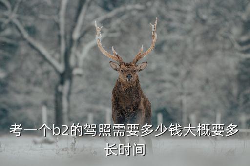 考一個b2的駕照需要多少錢大概要多長時間